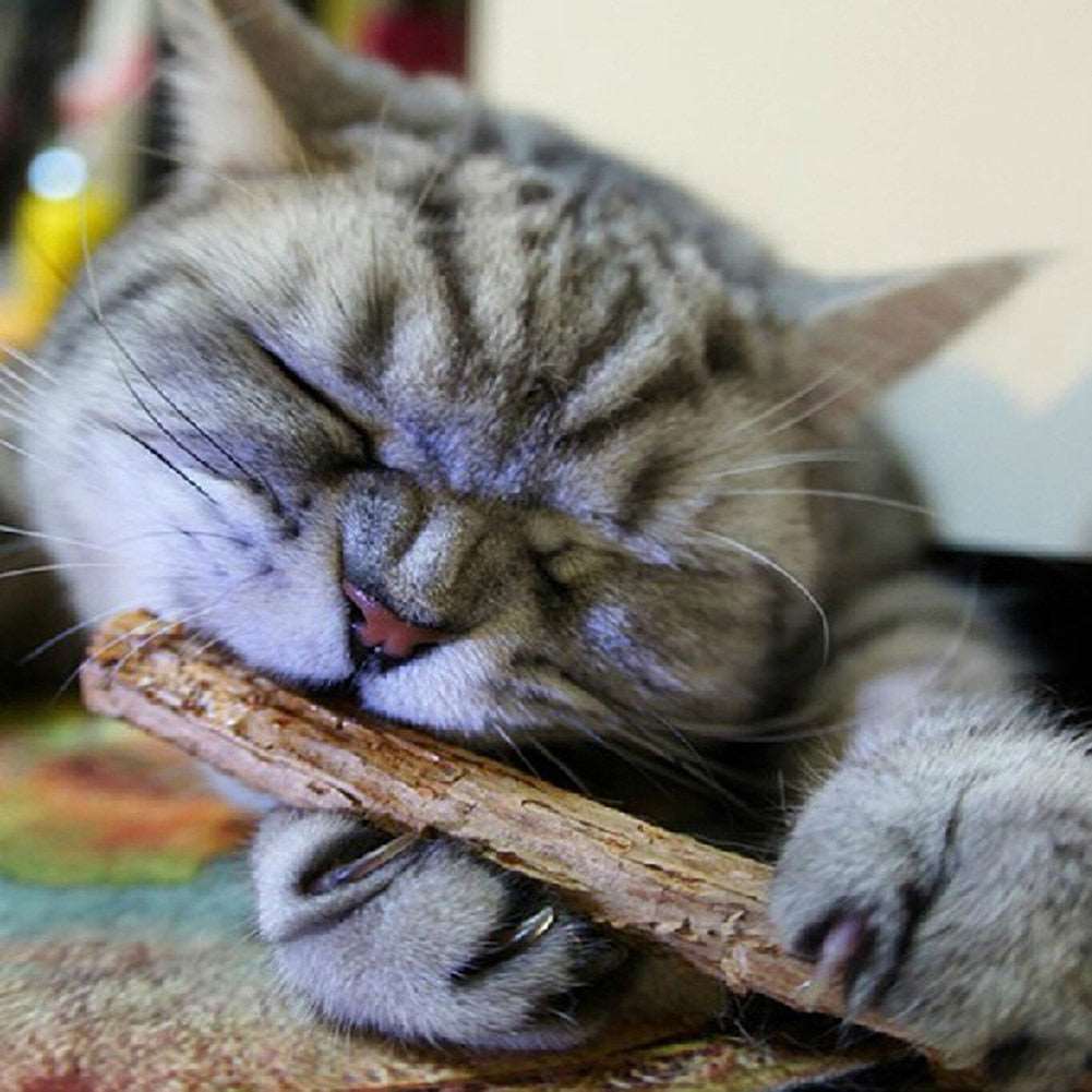 Escova de dentes natural para Gatos | Limpador de dentes para Gatos Matatabi - Lover Pets