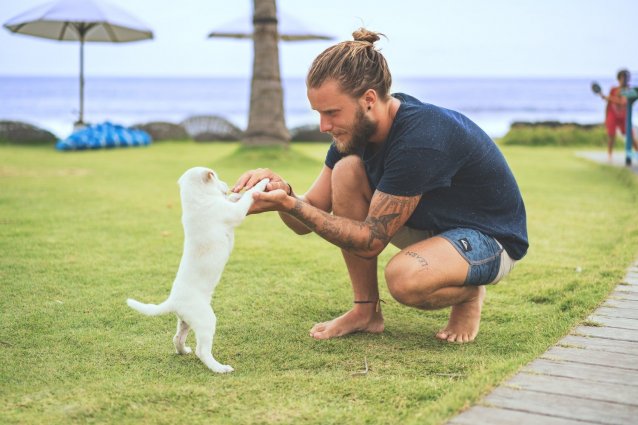 Meu cão, meu verdadeiro Amigo