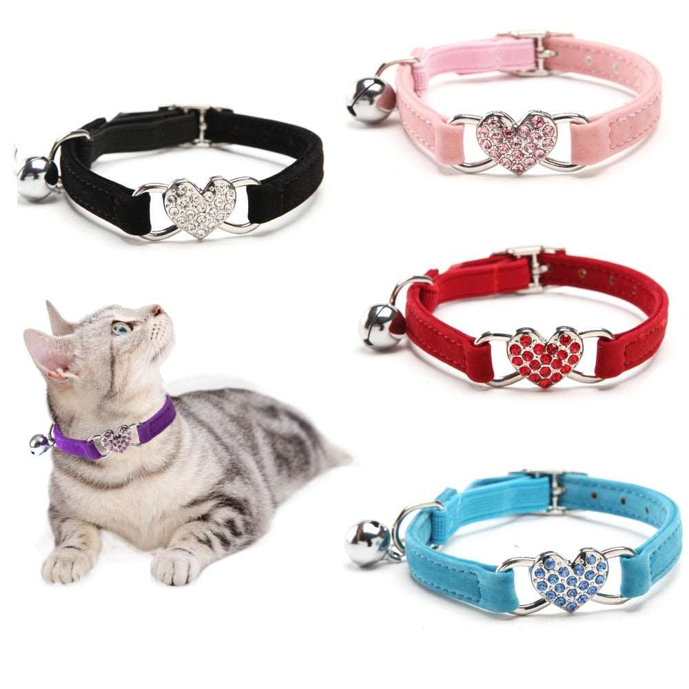 Coleira para Gato | Confortavél | Frete Grátis - Lover Pets