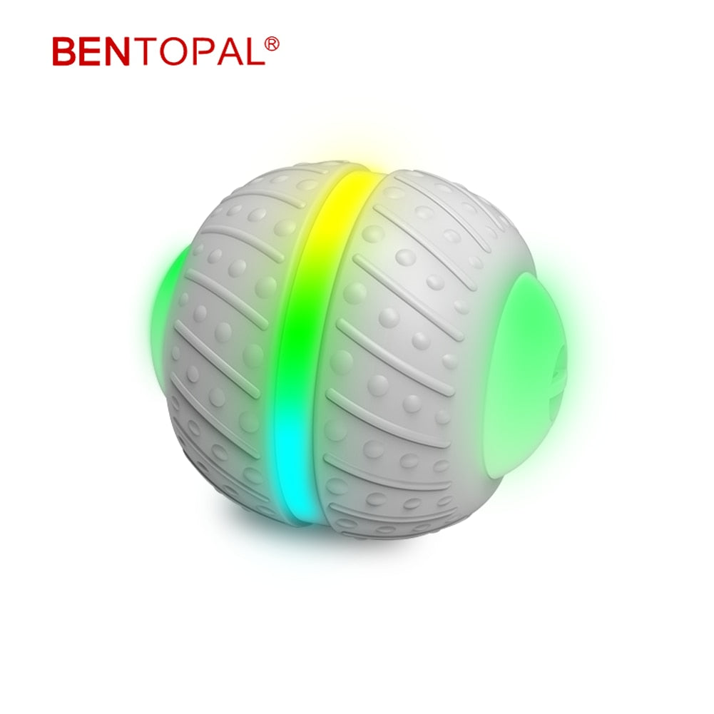 Bola Inteligente Interativa 360 graus Automatica Pet Ball USB Recarregável - Lover Pets