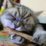 Escova de dentes natural para Gatos | Limpador de dentes para Gatos Matatabi